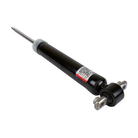 Motorcraft Shock Absorber Asy, Ash24665 ASH24665